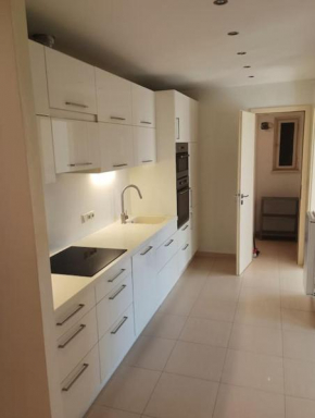 Spacious modern 3 bedroom aparment